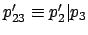 $ p_{23}' \equiv p_2'\vert p_3$