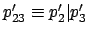 $ p_{23}' \equiv p_2'\vert p_3'$